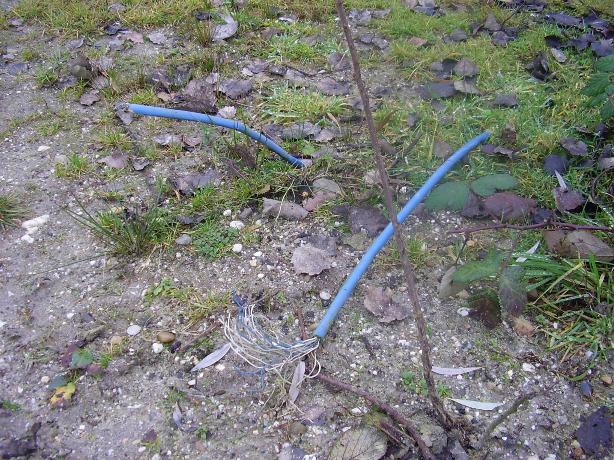 Dorperheide Arcen Venlo Limburgs Landschap 2