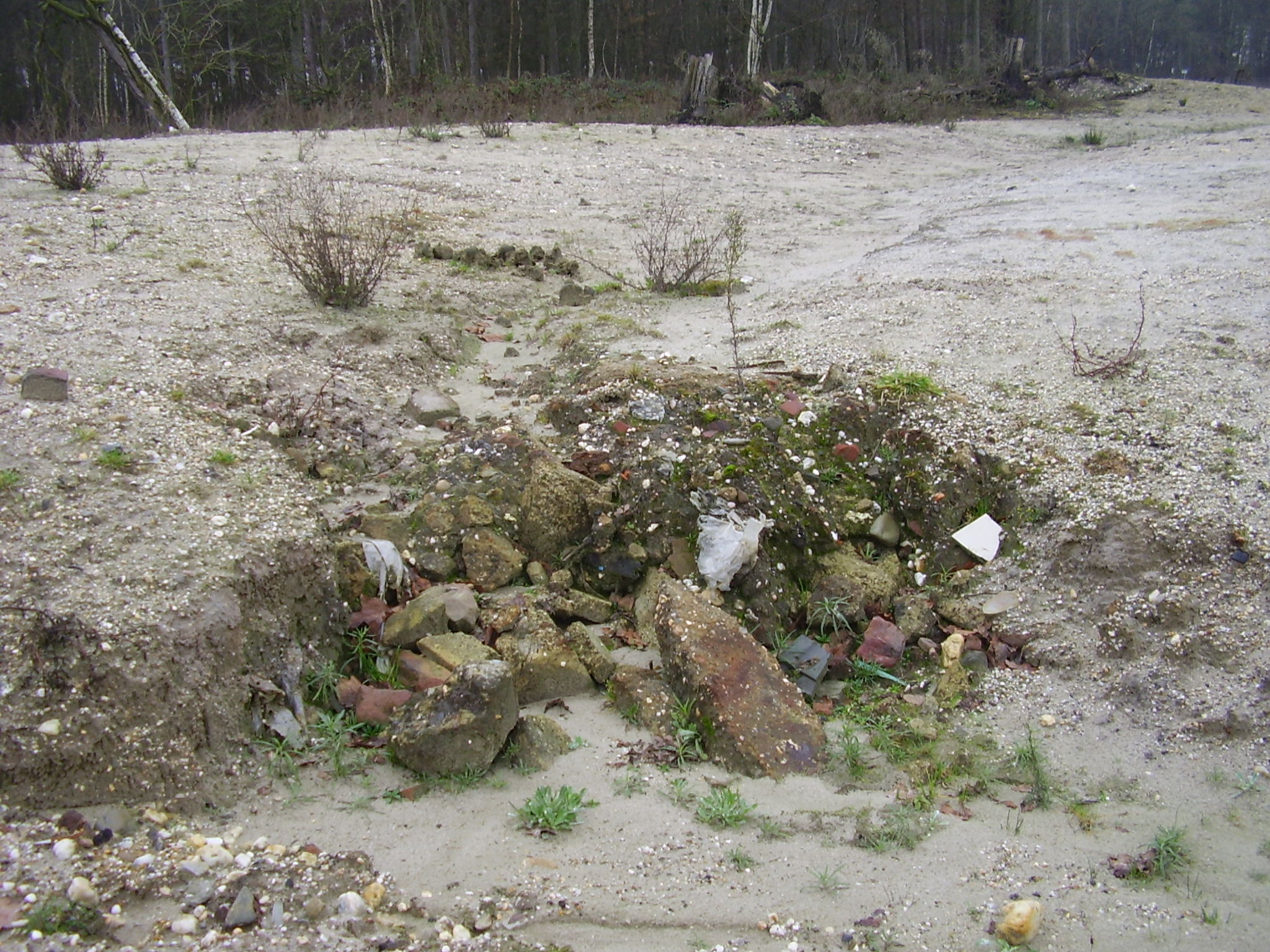 Dorperheide Arcen Venlo Limburgs Landschap 5